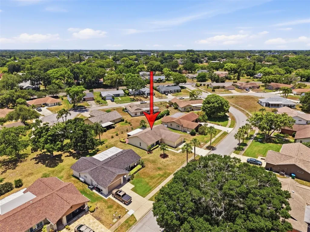 3068 E Dorchester Drive Palm Harbor FL 34684