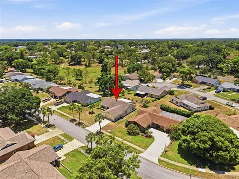 3068 E Dorchester Drive Palm Harbor FL 34684
