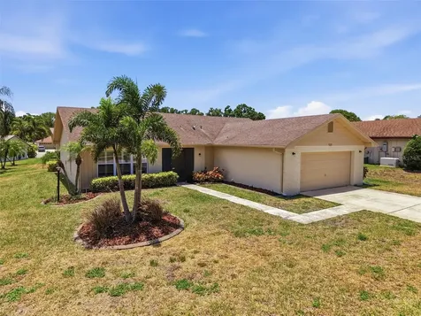 3068 E Dorchester Drive Palm Harbor FL 34684