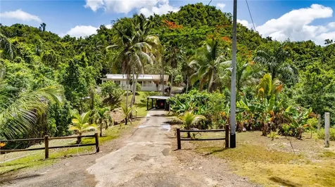Comm Cienguetas #33 Bo Esperanza Arecibo PR 00612