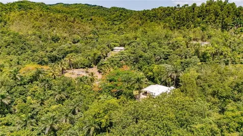 Comm Cienguetas #33 Bo Esperanza Arecibo PR 00612