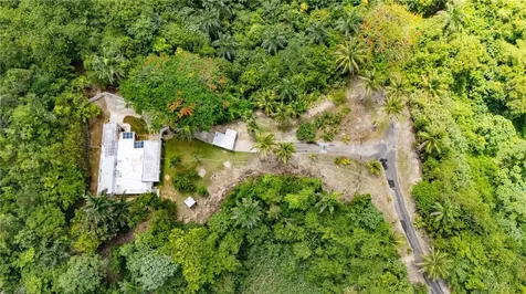 Comm Cienguetas #33 Bo Esperanza Arecibo PR 00612