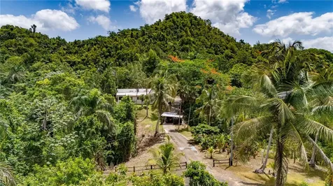 Comm Cienguetas #33 Bo Esperanza Arecibo PR 00612
