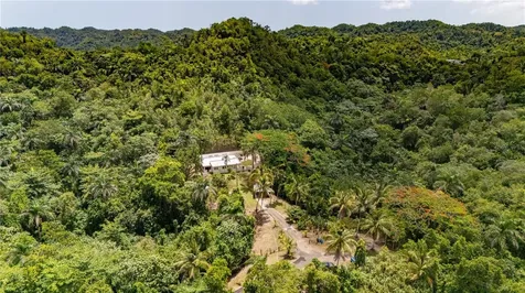 Comm Cienguetas #33 Bo Esperanza Arecibo PR 00612