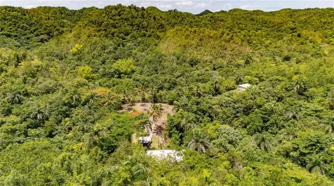 Comm Cienguetas #33 Bo Esperanza Arecibo PR 00612