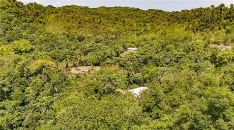 Comm Cienguetas #33 Bo Esperanza Arecibo PR 00612