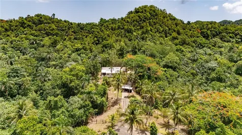 Comm Cienguetas #33 Bo Esperanza Arecibo PR 00612