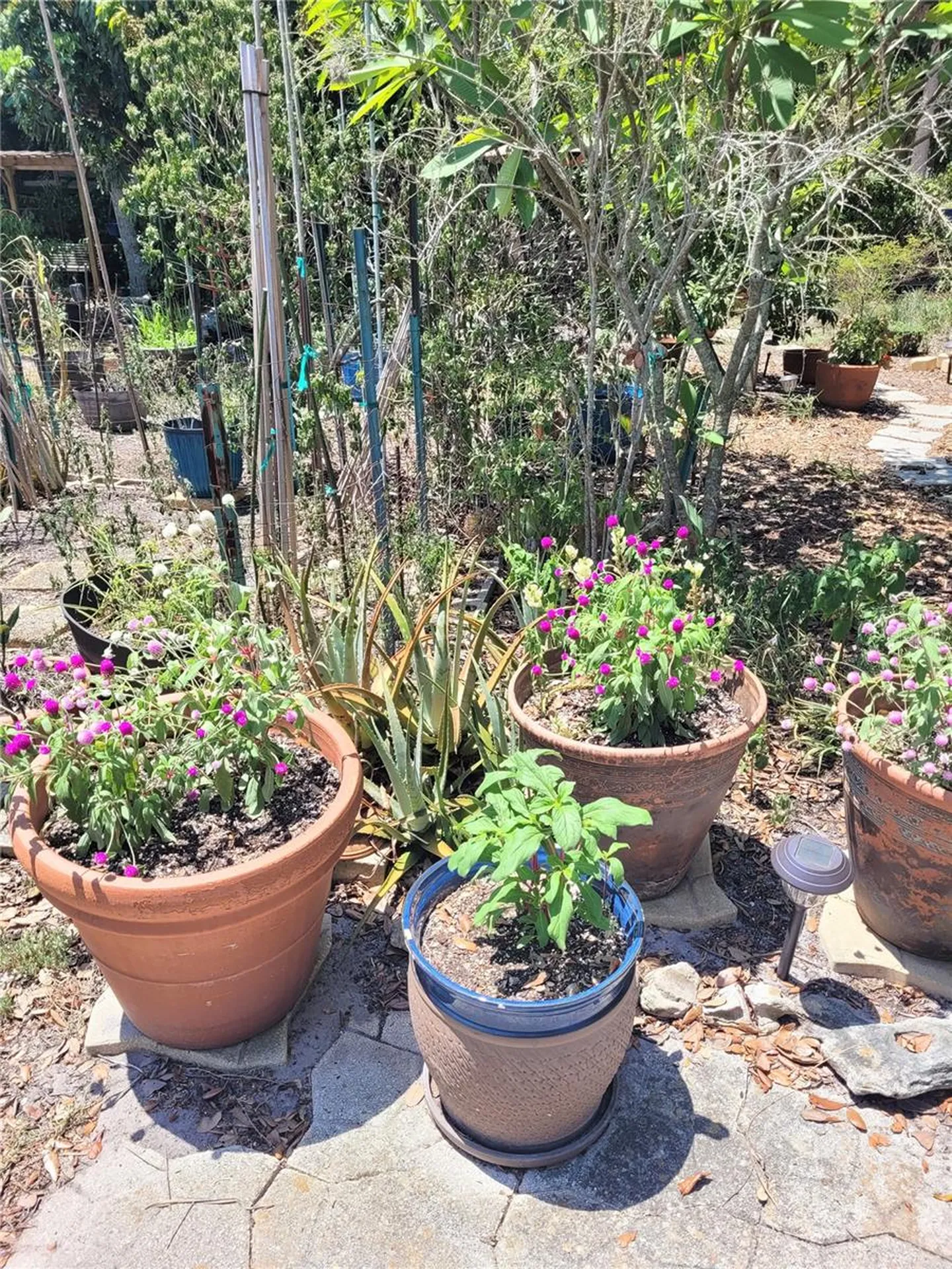2230 Bougainvillea Street Sarasota FL 34239