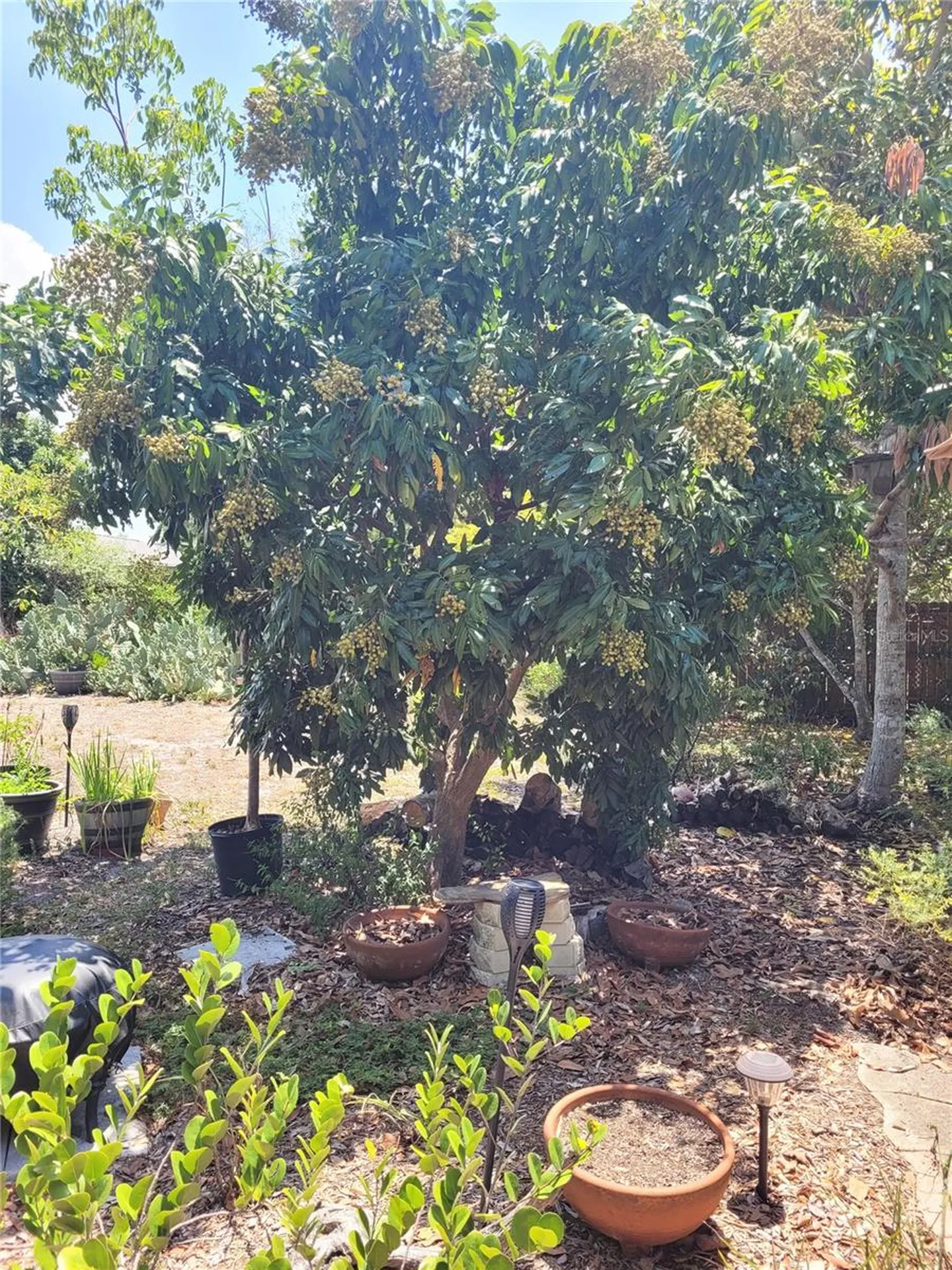 2230 Bougainvillea Street Sarasota FL 34239