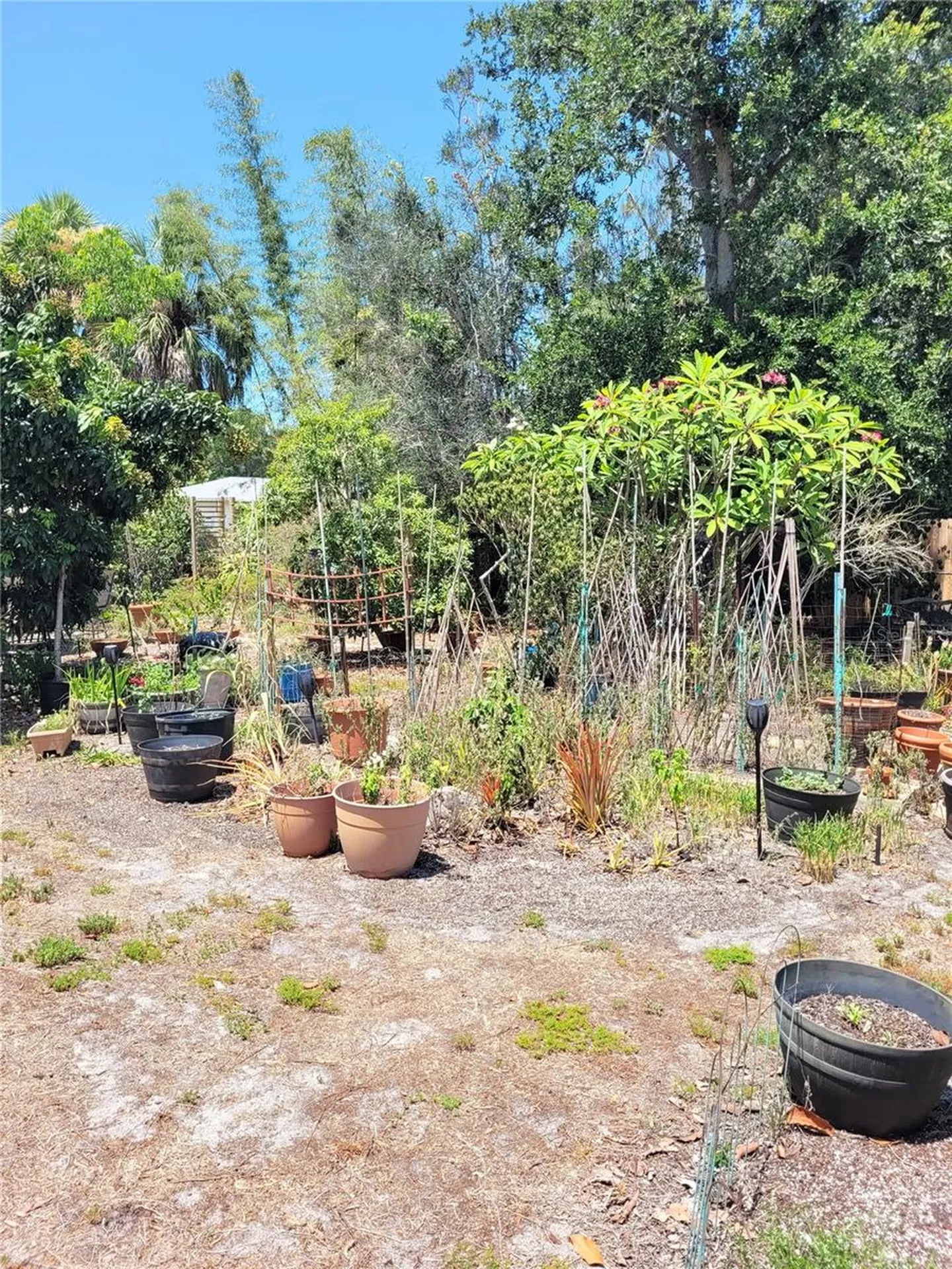 2230 Bougainvillea Street Sarasota FL 34239