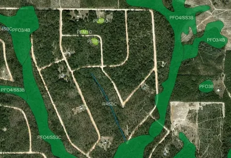 Cinnamon Drive Marianna FL 32448