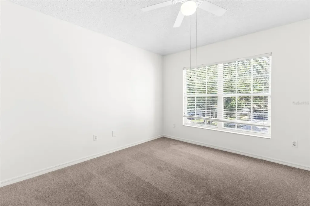 13439 White Elk Loop Tampa FL 33626