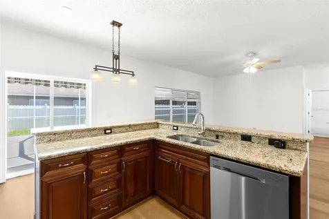 13439 White Elk Loop Tampa FL 33626