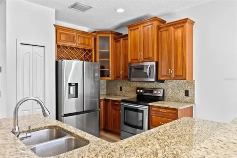 13439 White Elk Loop Tampa FL 33626