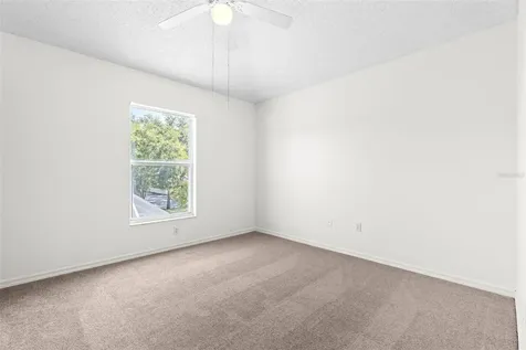 13439 White Elk Loop Tampa FL 33626