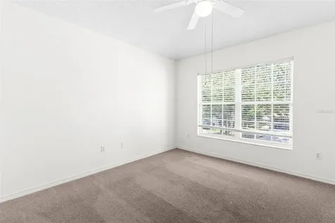 13439 White Elk Loop Tampa FL 33626