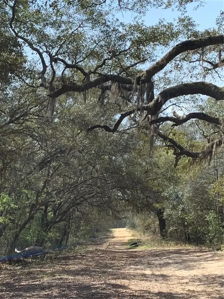 132 SW 52nd Avenue Interlachen FL 32148