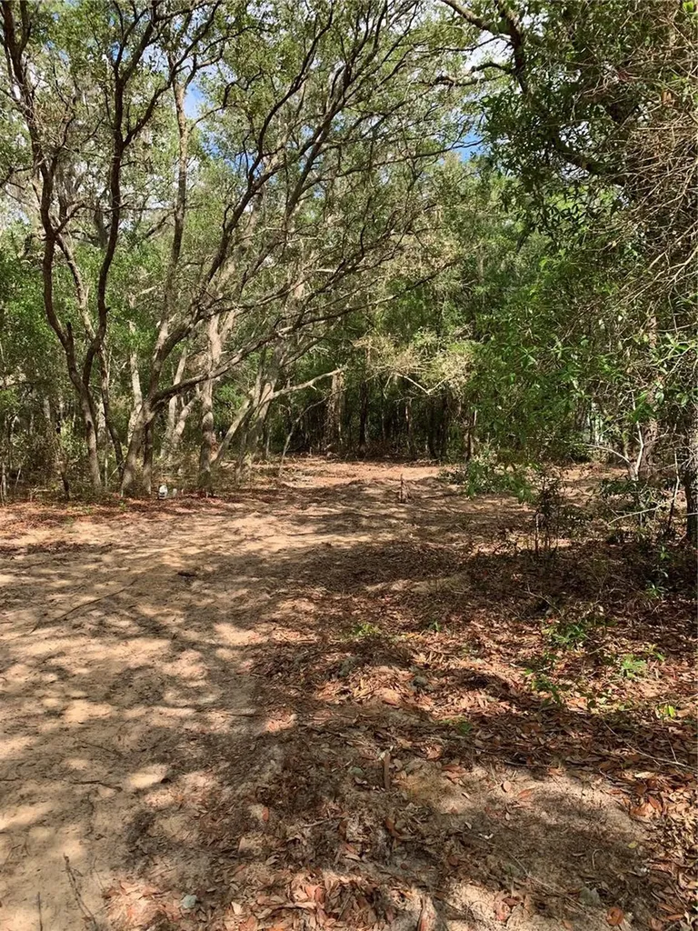 132 SW 52nd Avenue Interlachen FL 32148