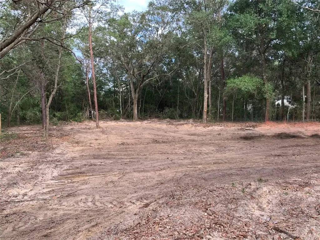132 SW 52nd Avenue Interlachen FL 32148