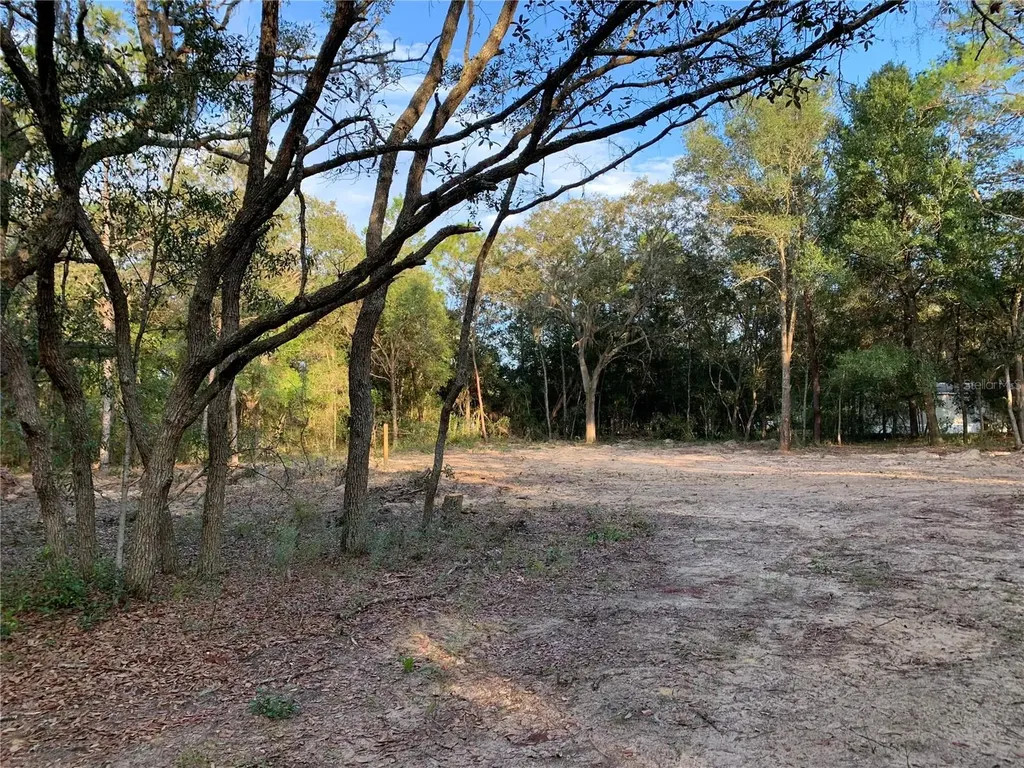 132 SW 52nd Avenue Interlachen FL 32148