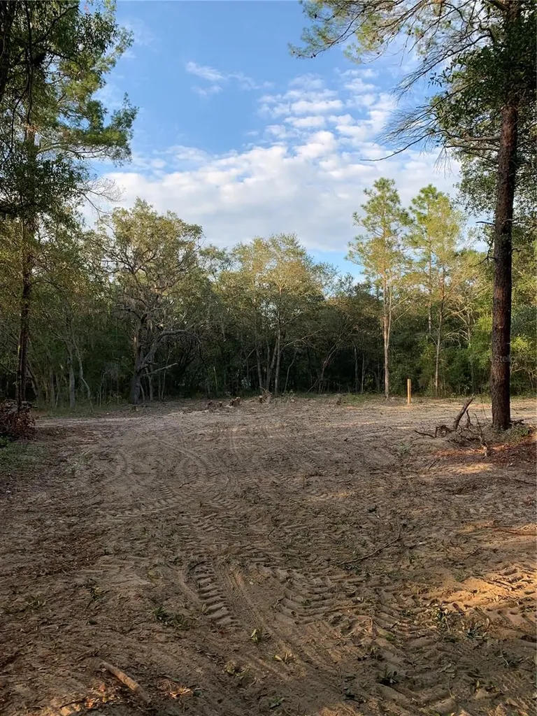 132 SW 52nd Avenue Interlachen FL 32148