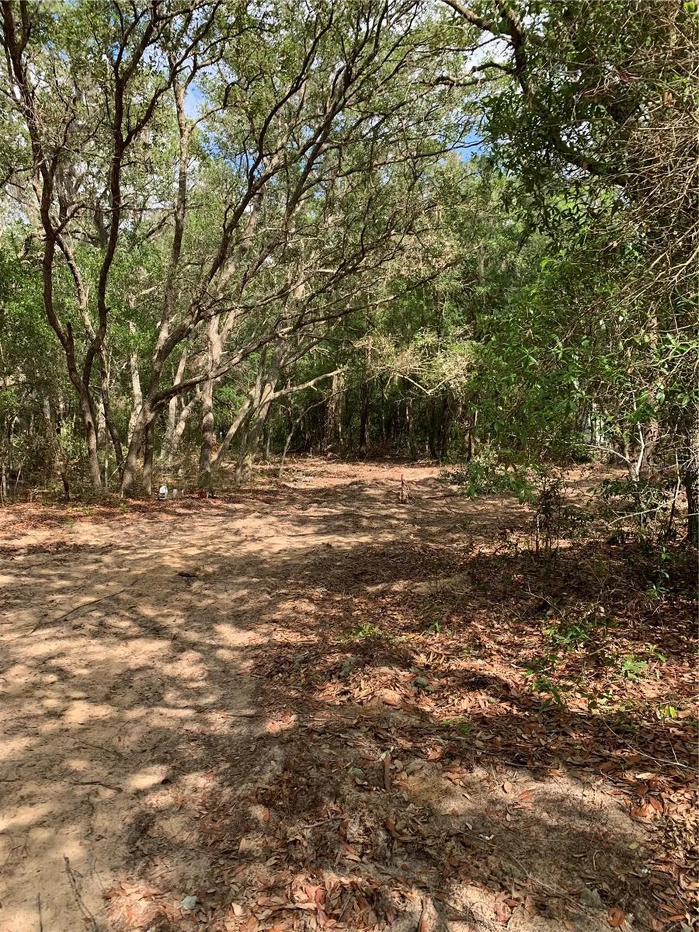 132 SW 52nd Avenue Interlachen FL 32148