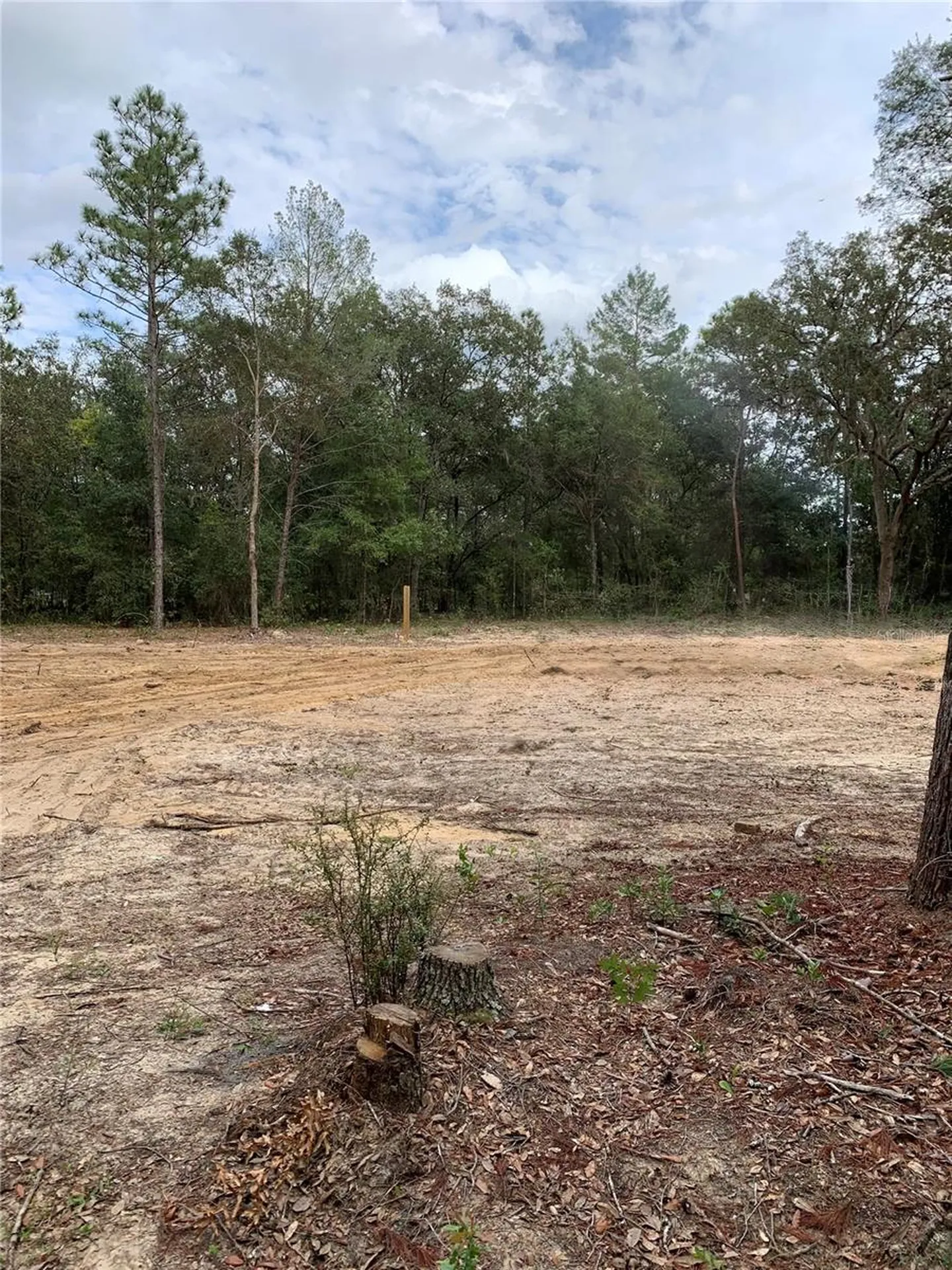 132 SW 52nd Avenue Interlachen FL 32148
