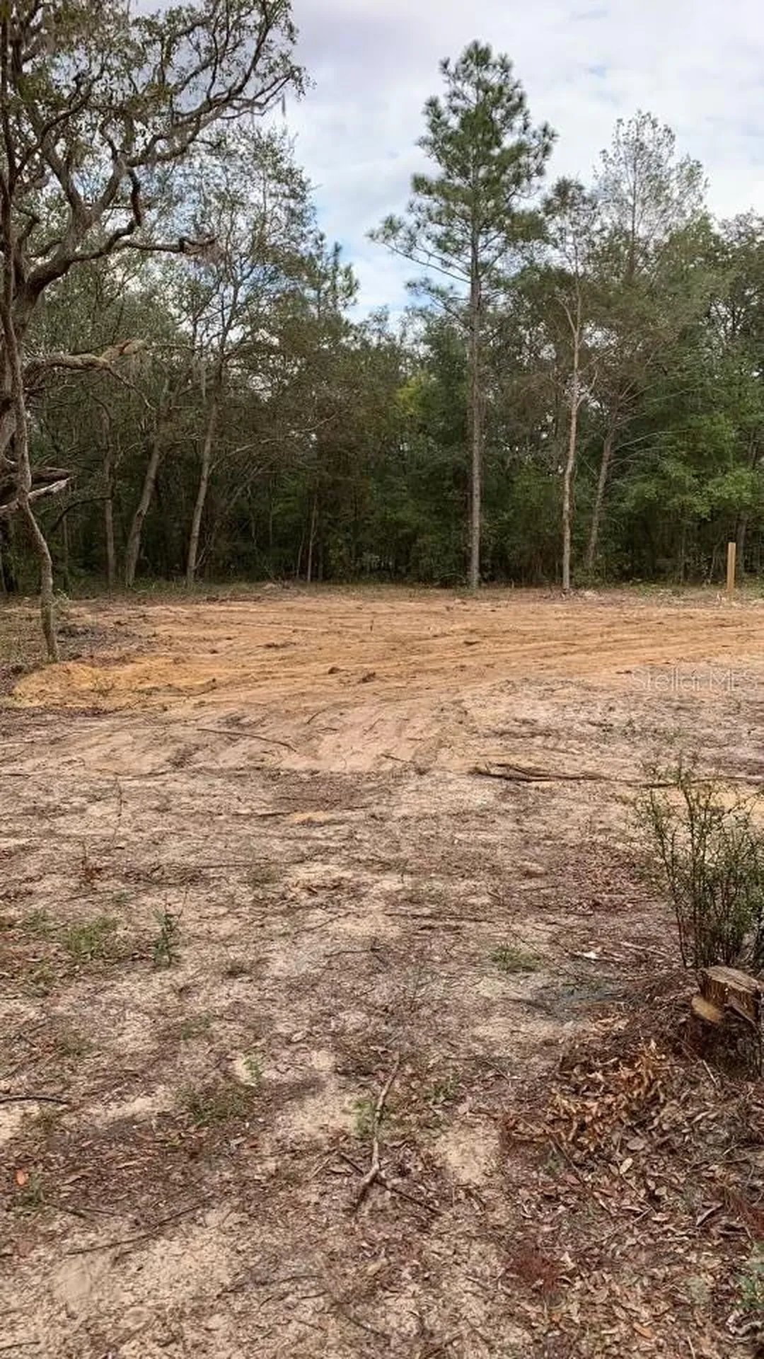132 SW 52nd Avenue Interlachen FL 32148