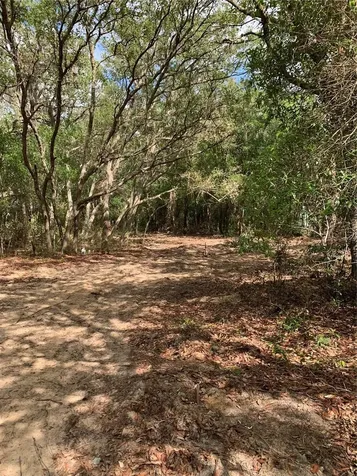132 SW 52nd Avenue Interlachen FL 32148