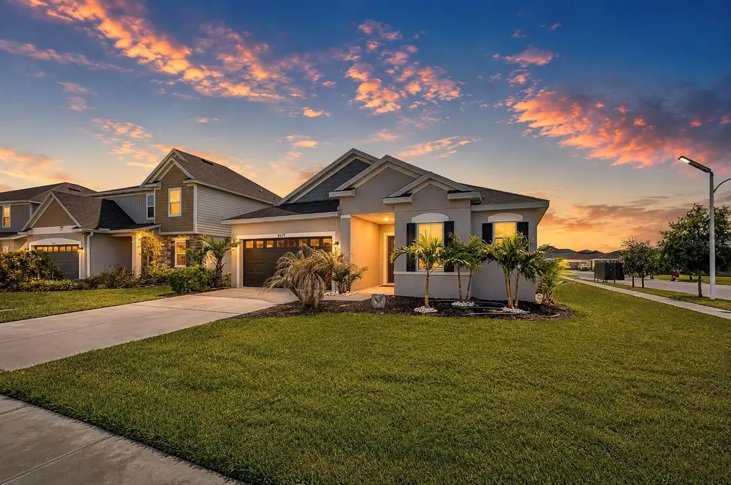 8325 Olive Brook Drive Wesley Chapel FL 33545