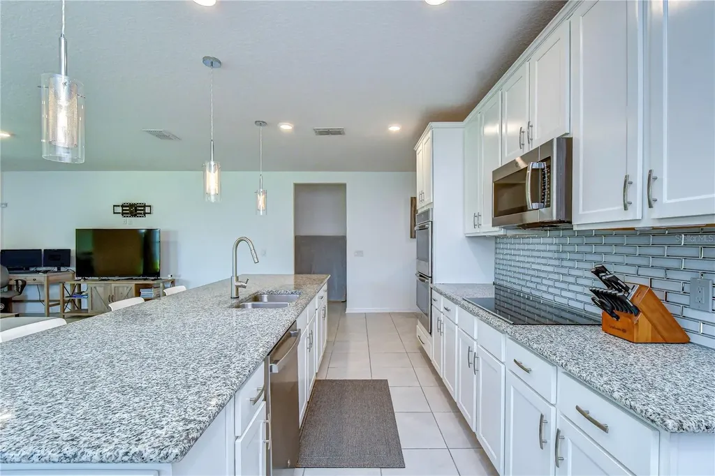 8325 Olive Brook Drive Wesley Chapel FL 33545