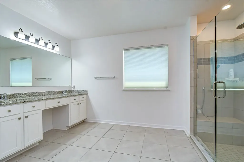 8325 Olive Brook Drive Wesley Chapel FL 33545