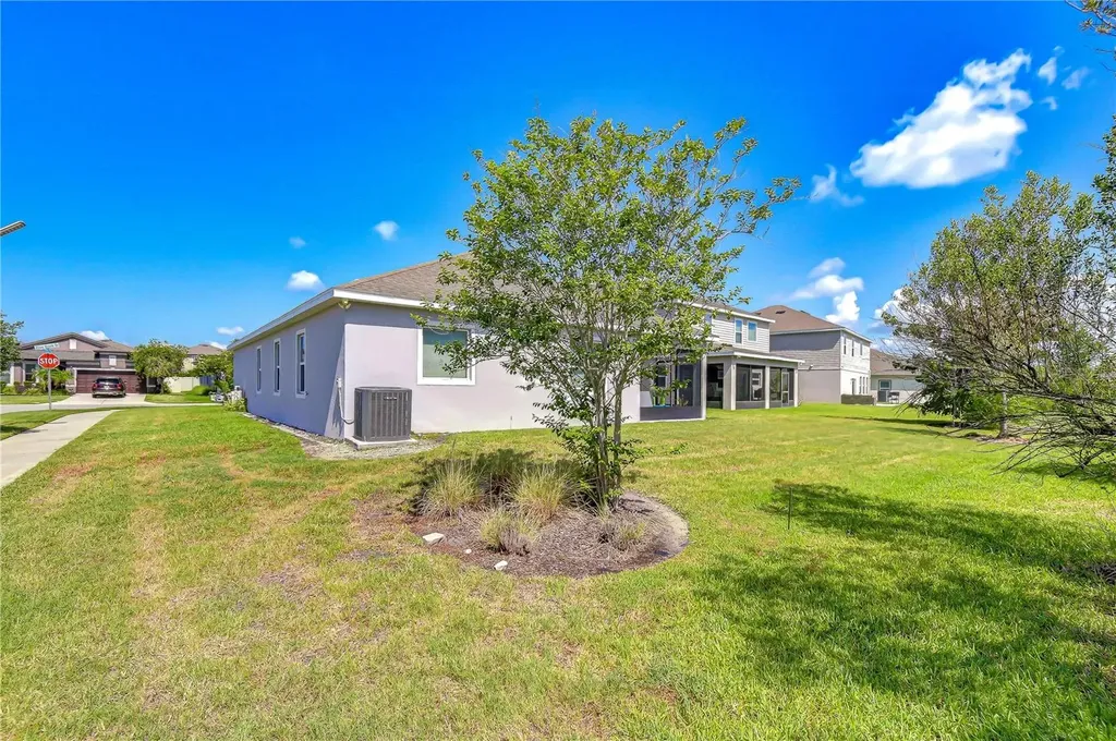 8325 Olive Brook Drive Wesley Chapel FL 33545