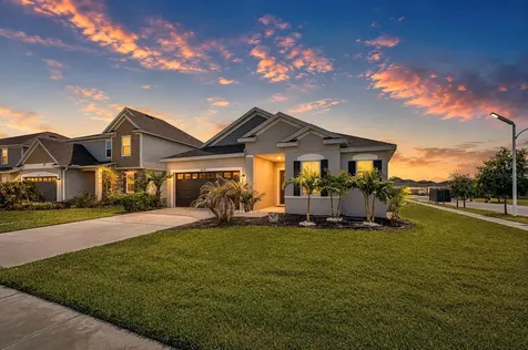 8325 Olive Brook Drive Wesley Chapel FL 33545