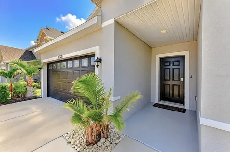 8325 Olive Brook Drive Wesley Chapel FL 33545