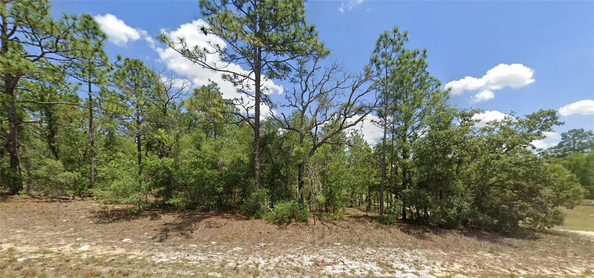 9857 N Lathyrus Terrace Dunnellon FL 34433