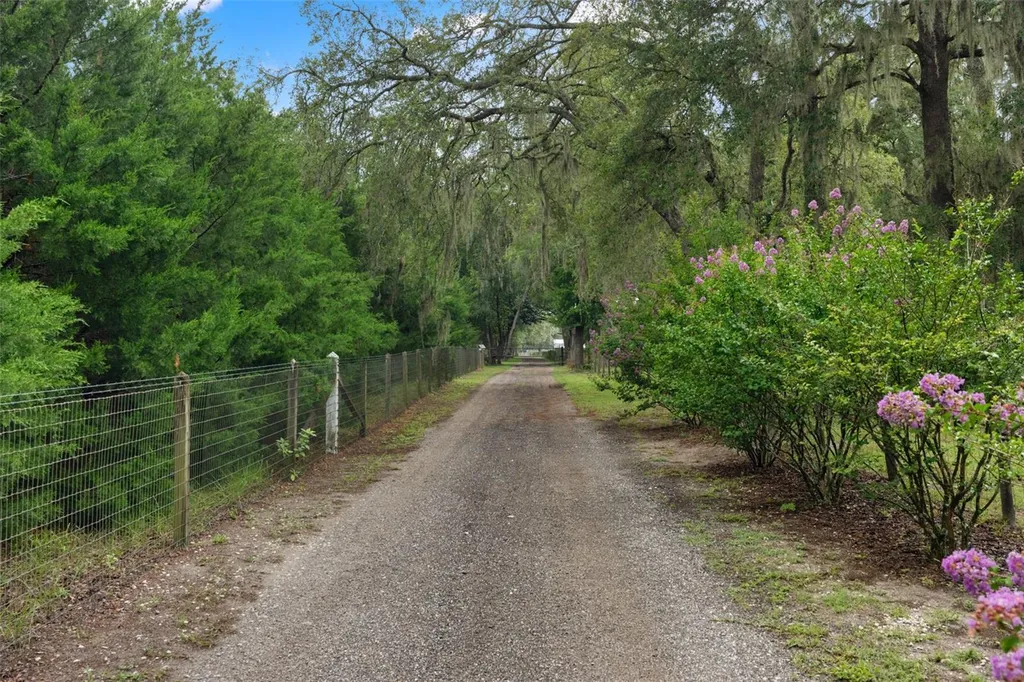 17163 Benes Roush Road Brooksville FL 34604