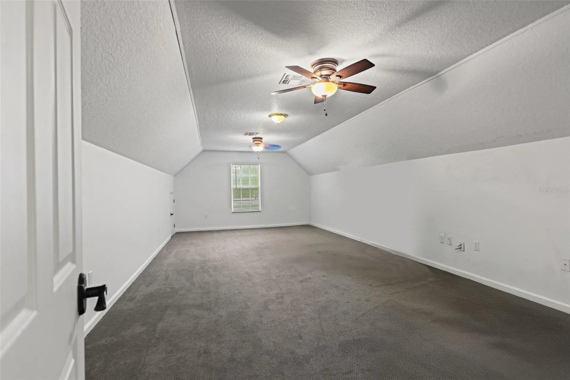 17163 Benes Roush Road Brooksville FL 34604