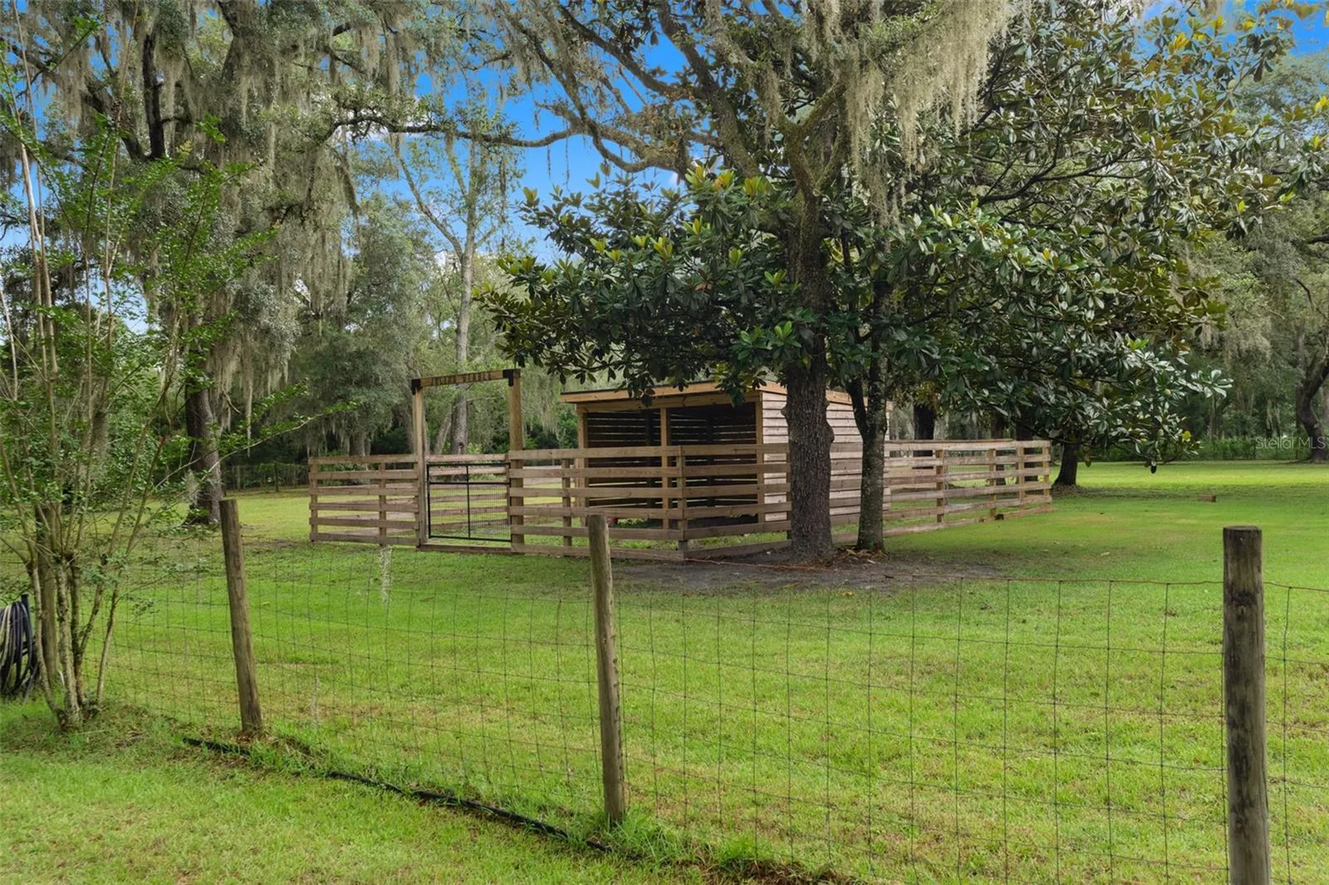 17163 Benes Roush Road Brooksville FL 34604