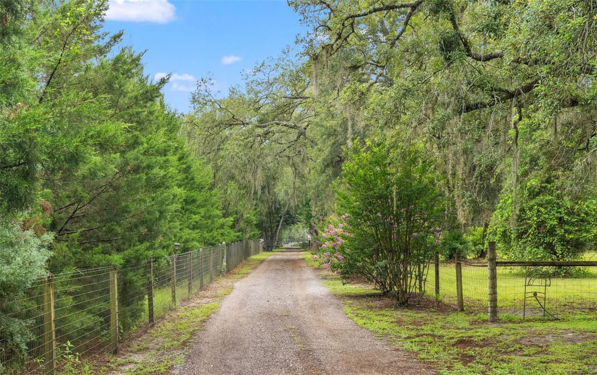 17163 Benes Roush Road Brooksville FL 34604