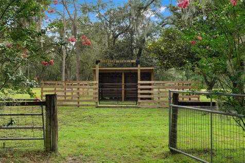 17163 Benes Roush Road Brooksville FL 34604