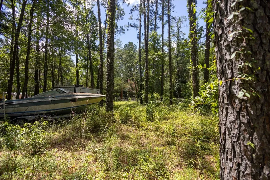18864 N Highway 329 Micanopy FL 32667