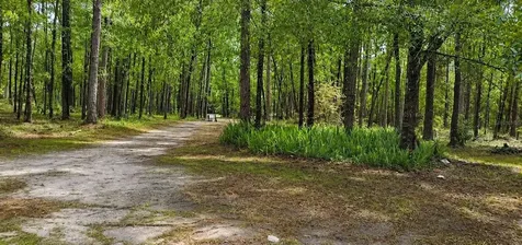 18864 N Highway 329 Micanopy FL 32667