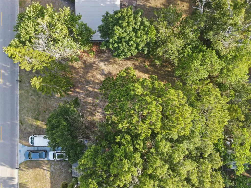 1520 San Mateo Drive Dunedin FL 34698
