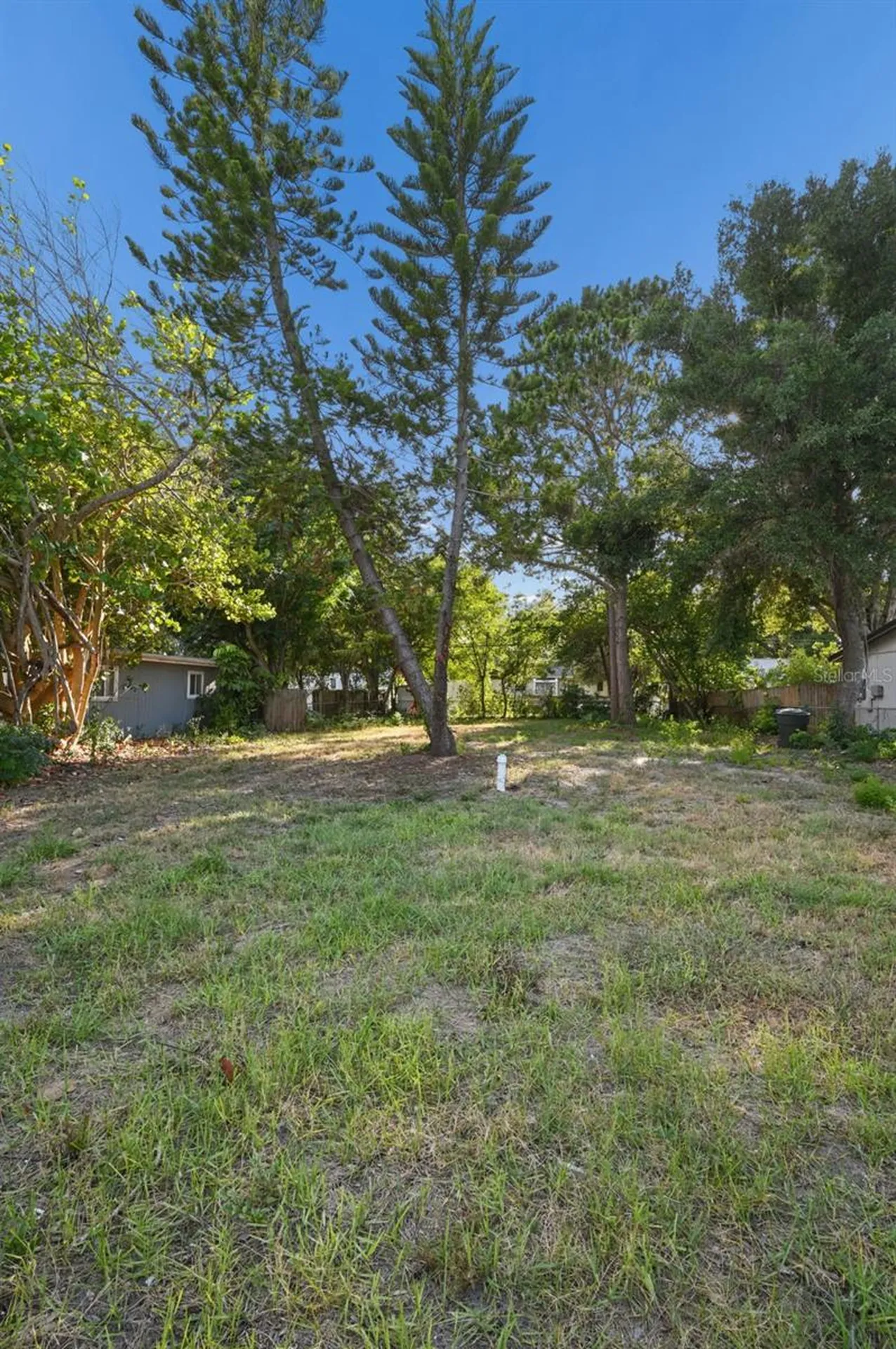 1520 San Mateo Drive Dunedin FL 34698
