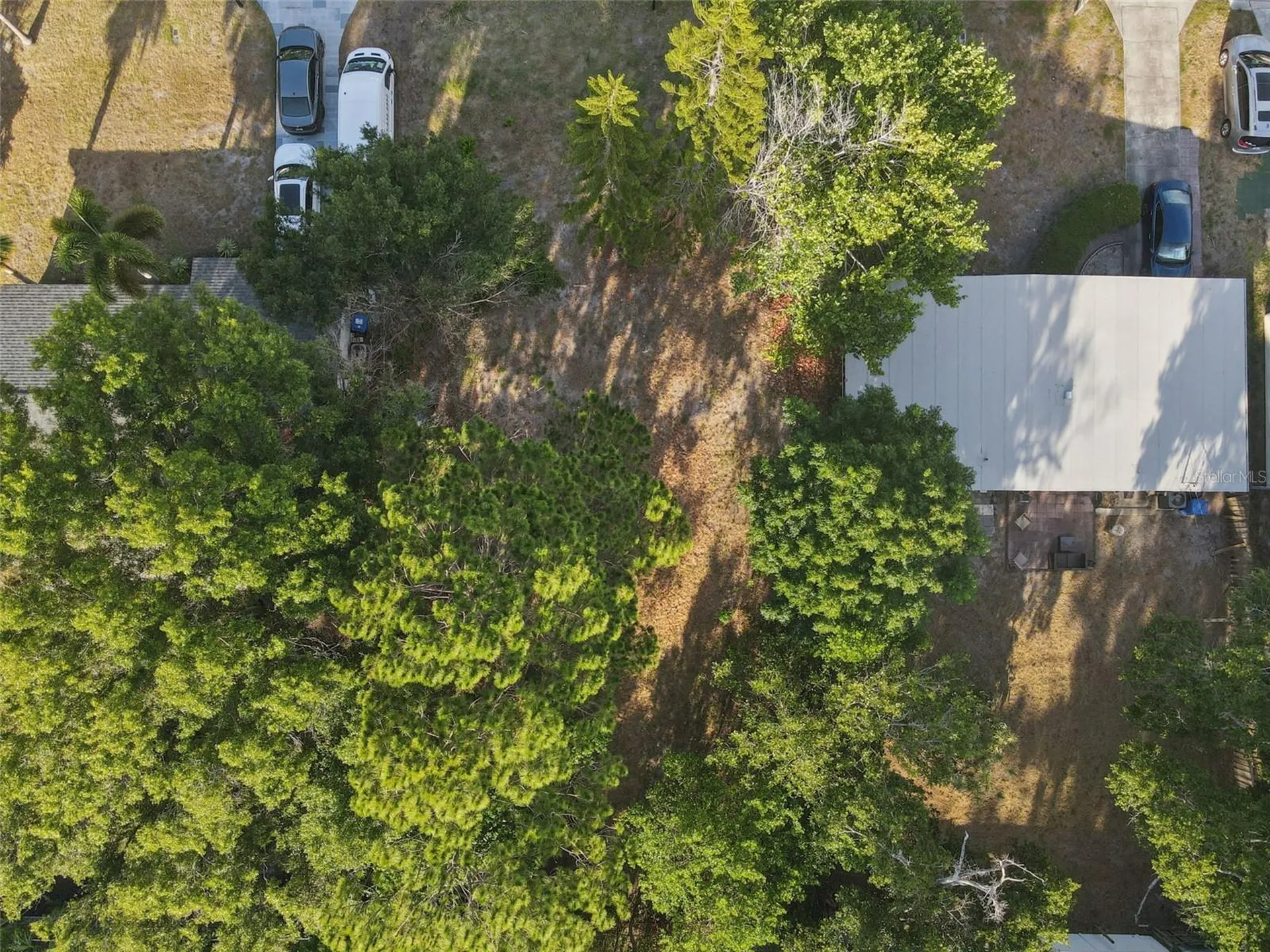 1520 San Mateo Drive Dunedin FL 34698