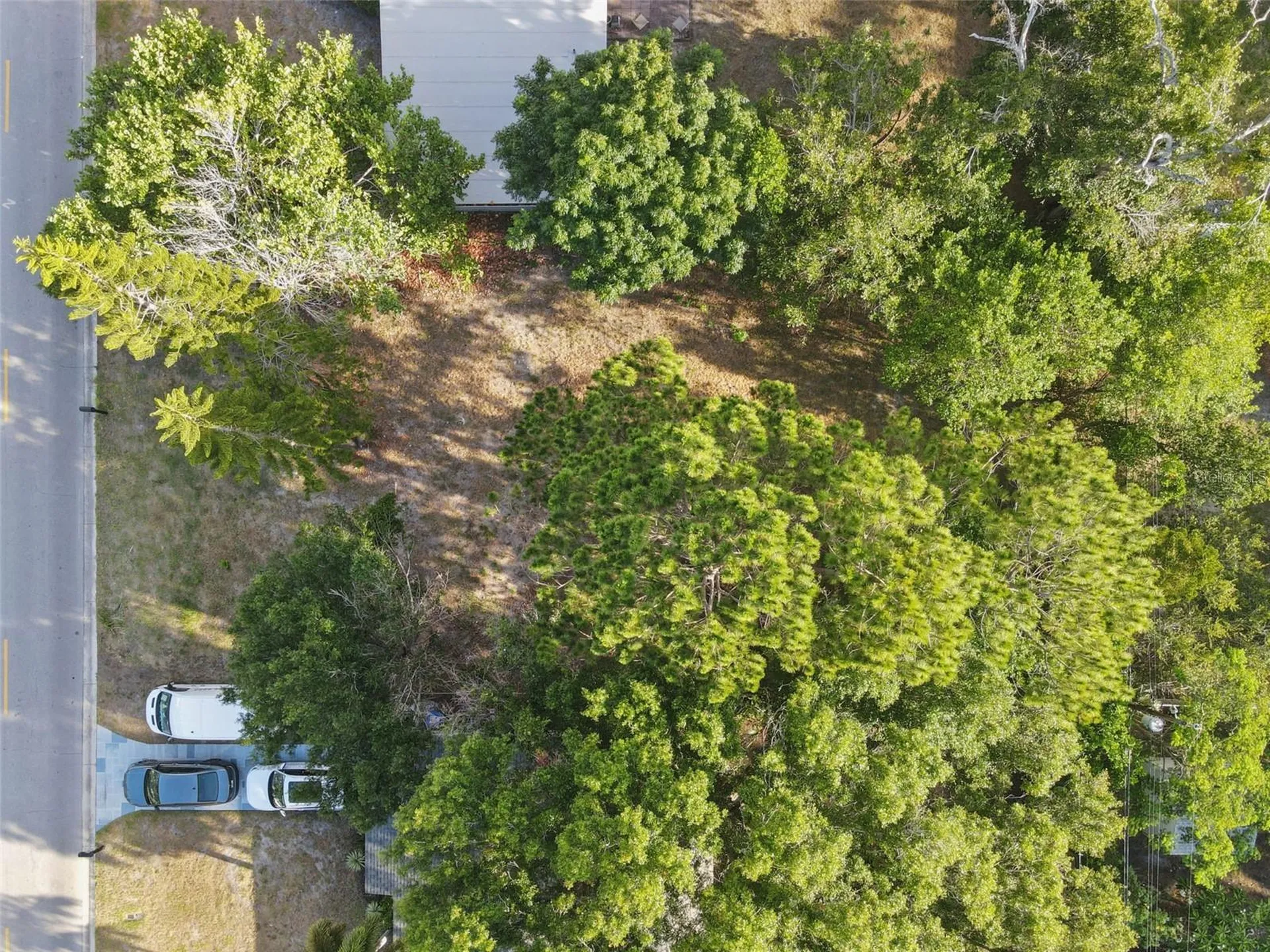 1520 San Mateo Drive Dunedin FL 34698