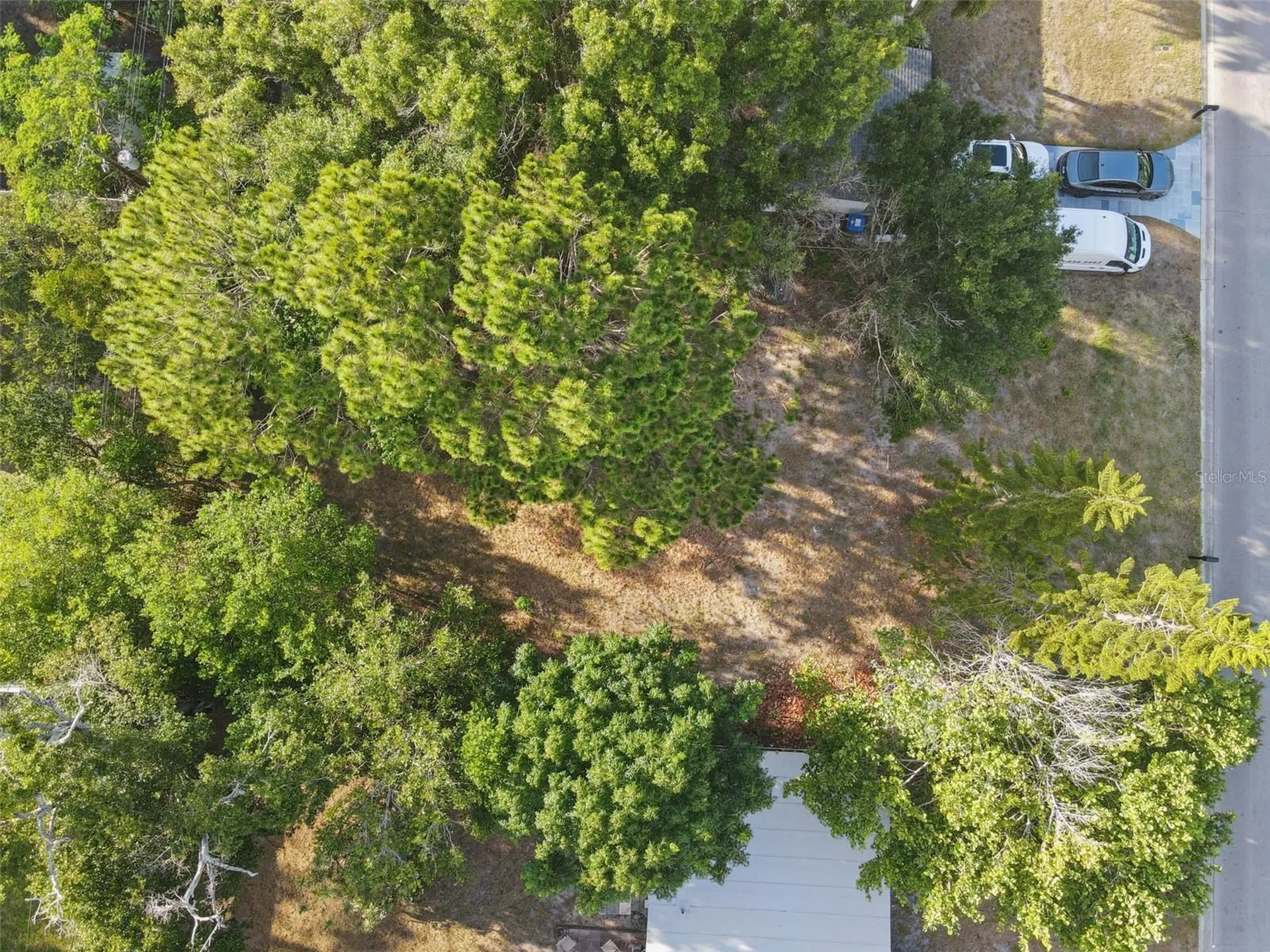 1520 San Mateo Drive Dunedin FL 34698