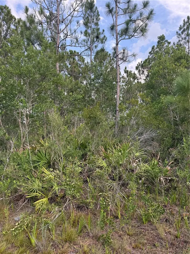 Holopaw Groves Road St Cloud FL 34773