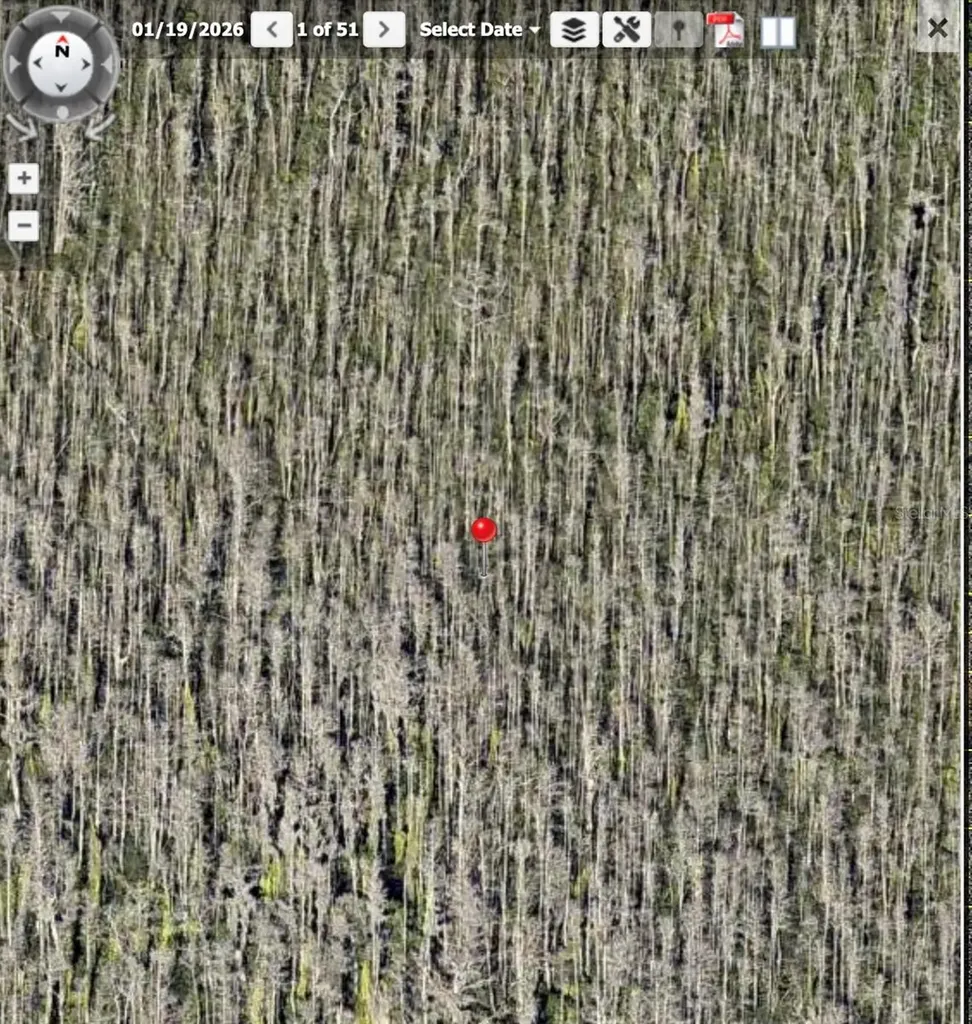 Holopaw Groves Road St Cloud FL 34773
